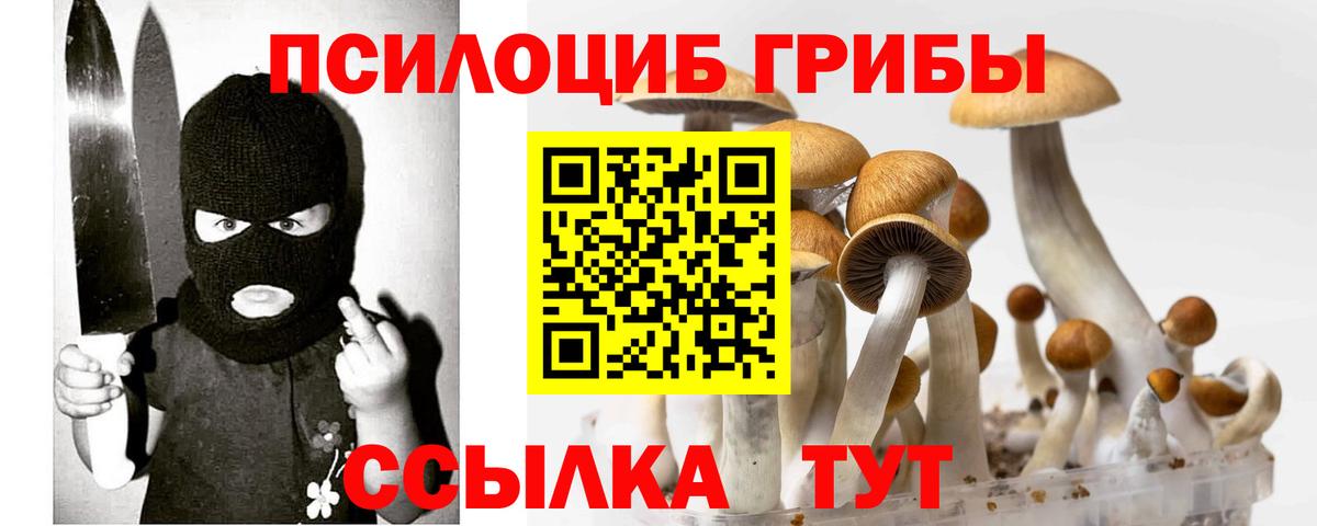 Галлюциногенные грибы Psilocybe Горячий Ключ